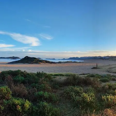 Dorada Noja